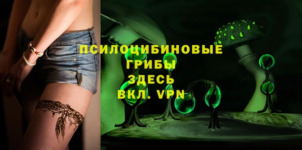 apvp Бронницы