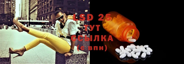 PSILOCYBIN Бугульма