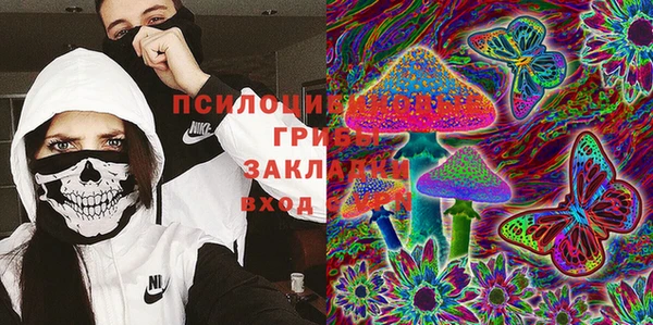 PSILOCYBIN Бугульма