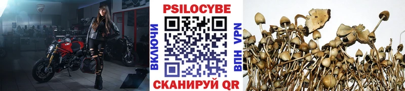 Псилоцибиновые грибы прущие грибы  купить  сайты  МЕГА зеркало  Ярославль 